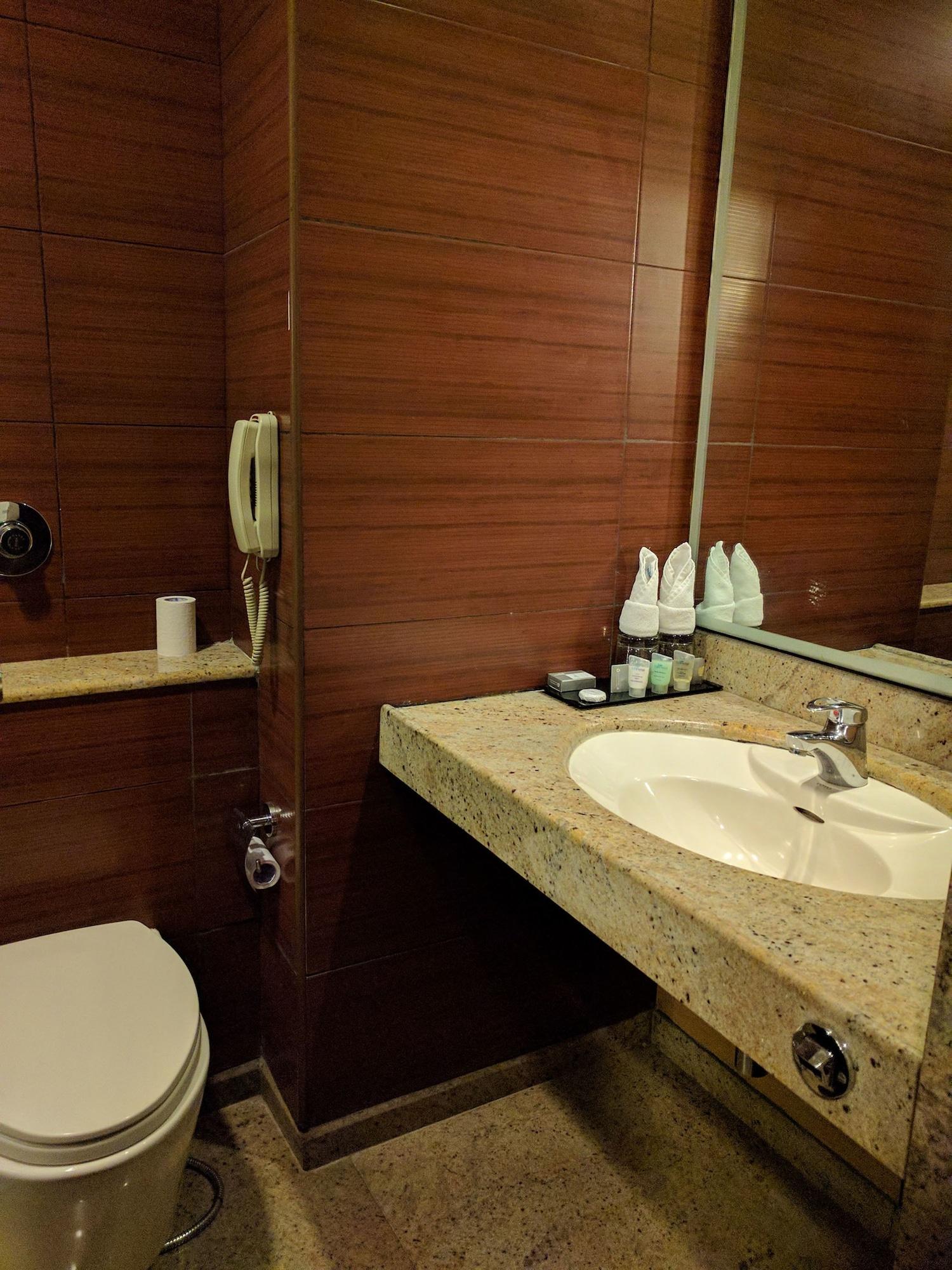 העיר בנגלור Blu Petal - A Business Hotel מראה חיצוני תמונה